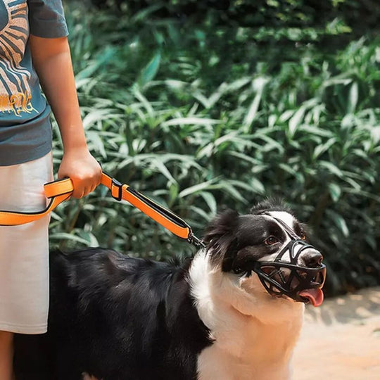 Muselière pour chien Confortable et Respirante 7
