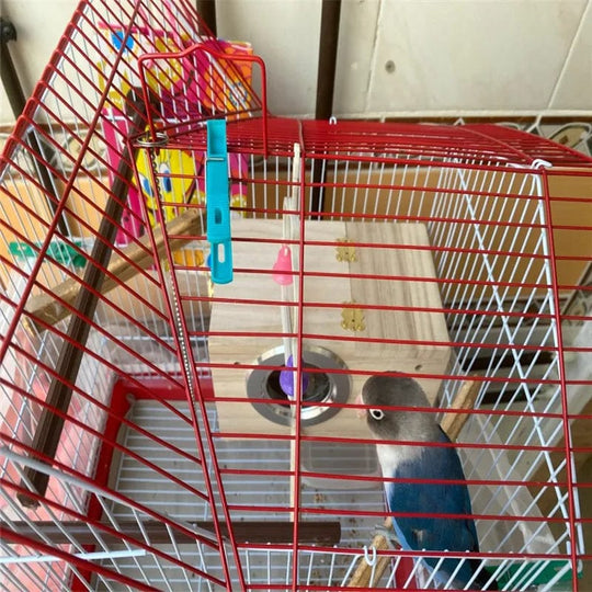 Nid d'Oiseau Décoratif en Bois pour Animaux de Compagnie 3