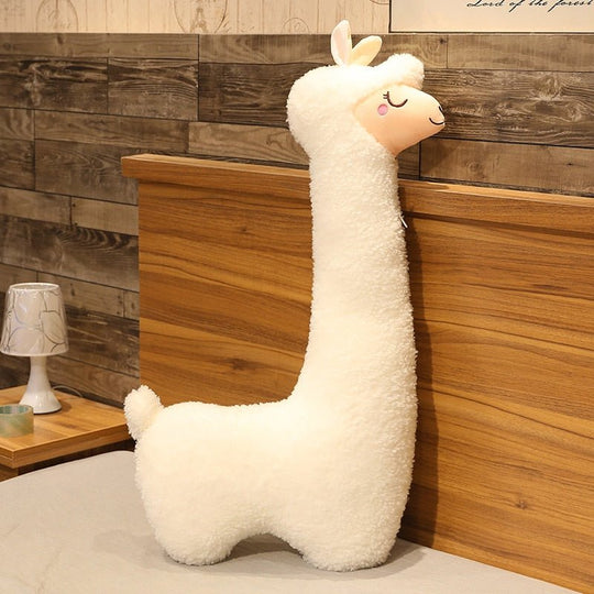 Oreiller Extra-Large pour Dormeurs Latéraux 5