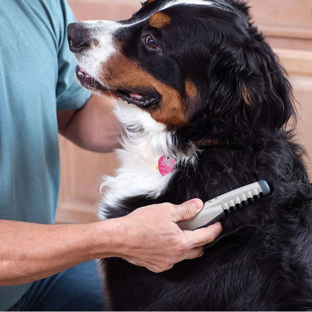 Outil de Toilettage Pour Animaux de Compagnie Démêlant Compact 0