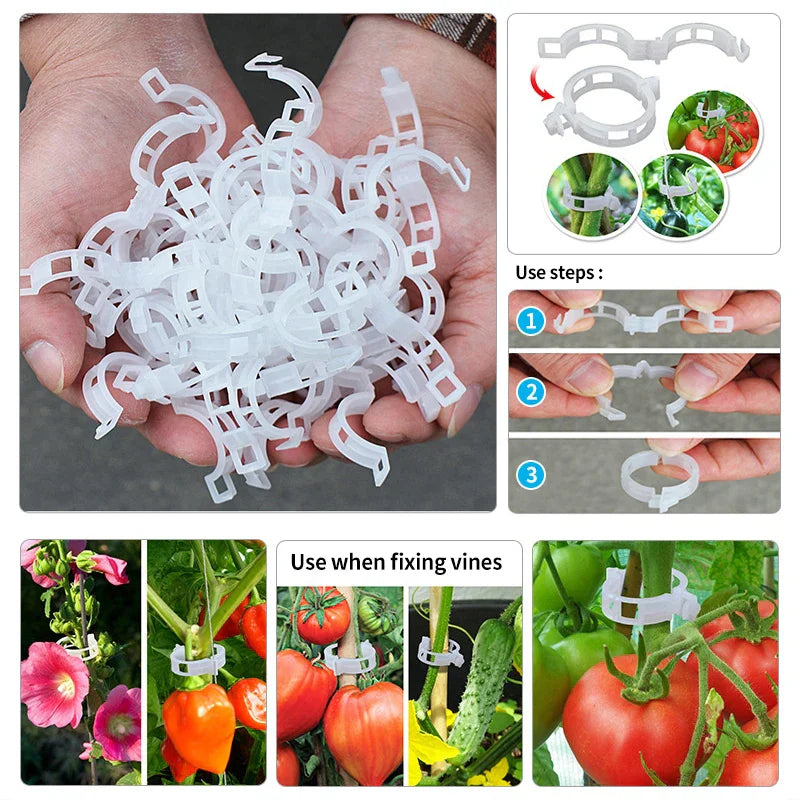 Outils de Jardinage Clips de Support pour Plantes 5