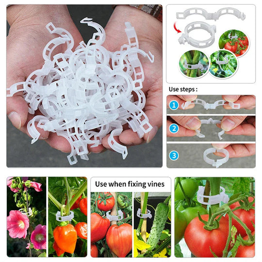 Outils de Jardinage Clips de Support pour Plantes 5