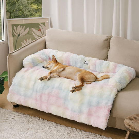 Panier Chien Douillet avec Coussin Confortable pour Moments de Détente 1