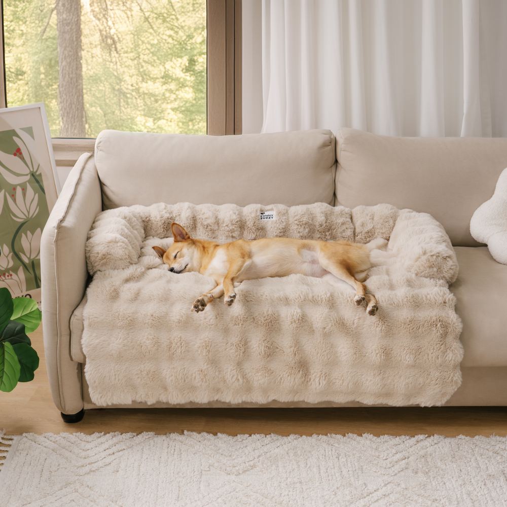Panier Chien Douillet avec Coussin Confortable pour Moments de Détente 2