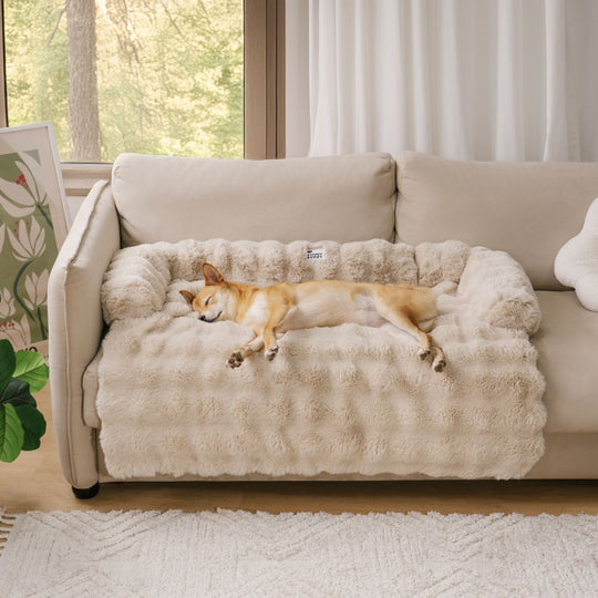 Panier Chien Douillet avec Coussin Confortable pour Moments de Détente 2