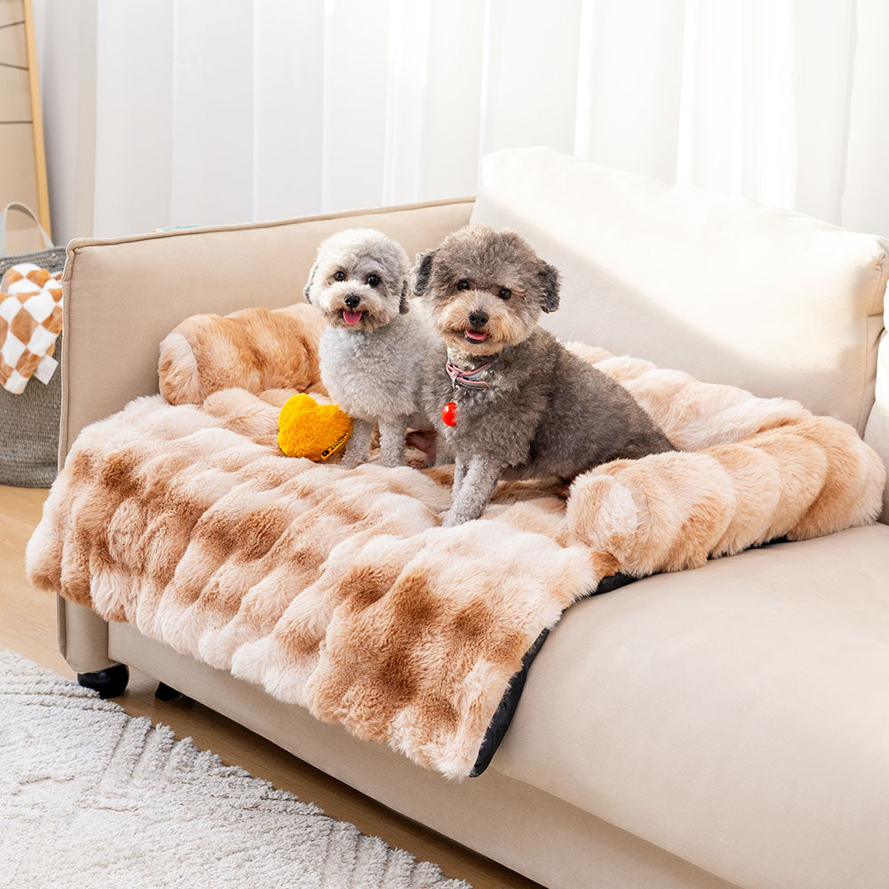 Panier Chien Douillet avec Coussin Confortable pour Moments de Détente 3