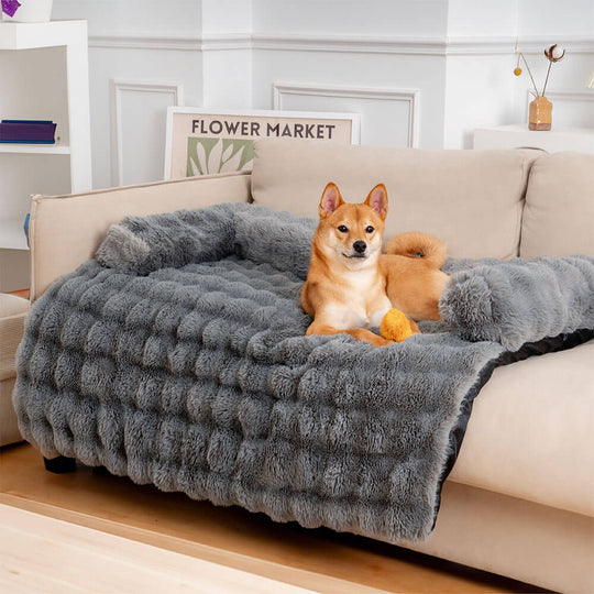 Panier Chien Douillet avec Coussin Confortable pour Moments de Détente 7