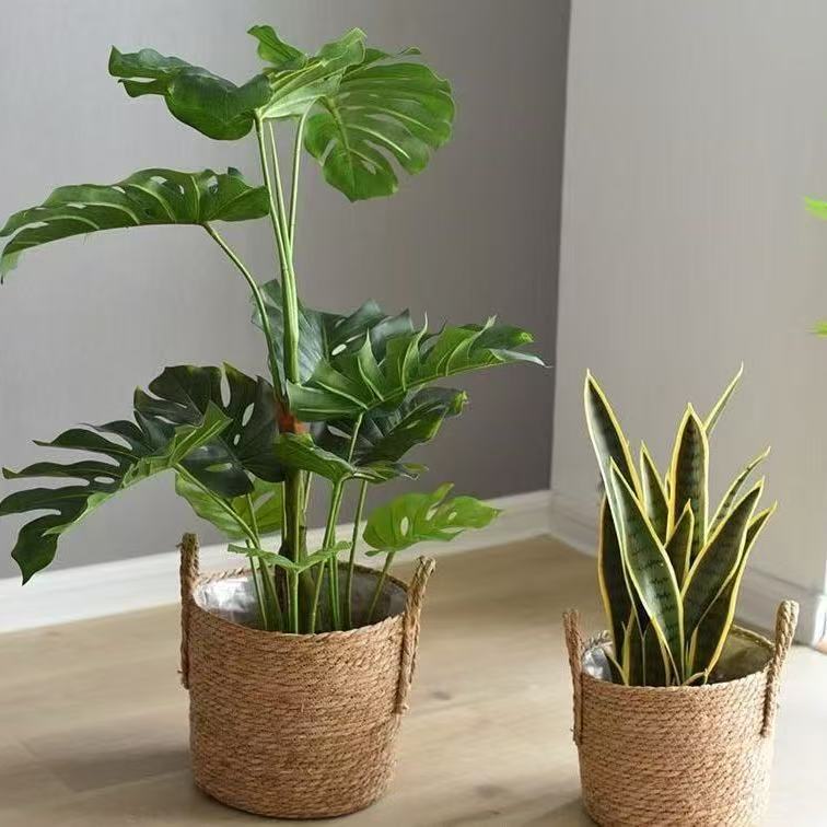 Panier de rangement polyvalent pour organisation intérieure 3