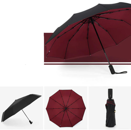 Parapluie Homme Pliant Solide Automatique Résistant aux Tempêtes 10