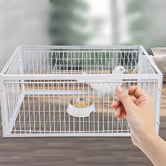 Piège à Oiseaux Innovant et Respectueux des Animaux 1