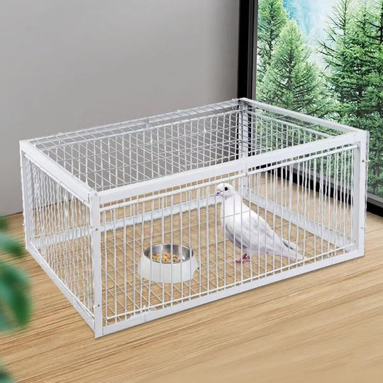Piège à Oiseaux Innovant et Respectueux des Animaux 2