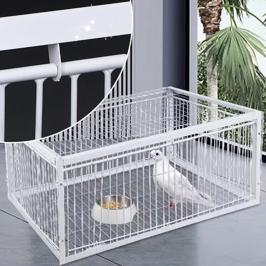 Piège à Oiseaux Innovant et Respectueux des Animaux 3