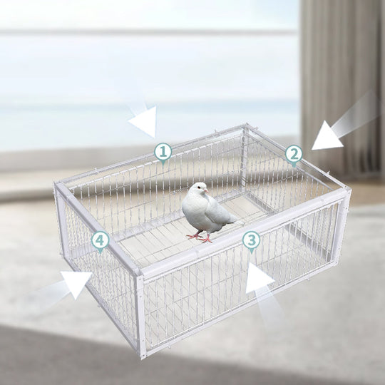 Piège à Oiseaux Innovant et Respectueux des Animaux 5