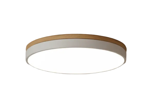 Plafonnier LED Design Naturel avec Accent Vert 0