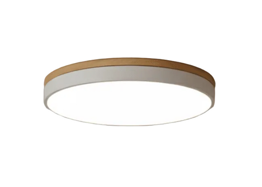 Plafonnier LED Design Naturel avec Accent Vert 0