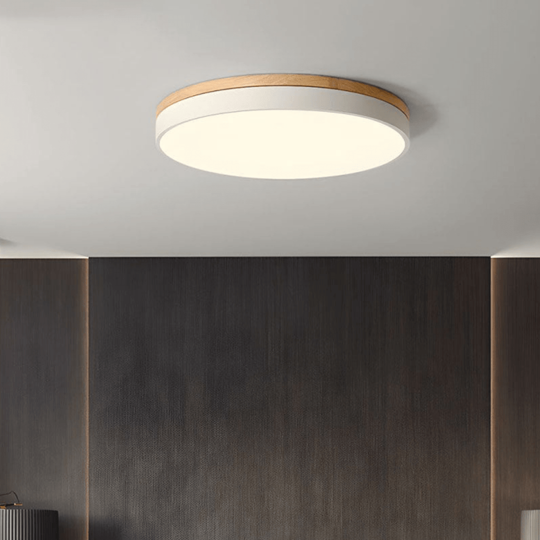 Plafonnier LED Design Naturel avec Accent Vert 1