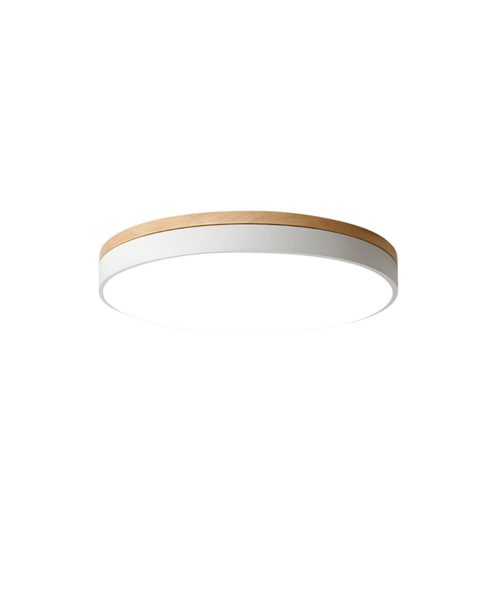 Plafonnier LED Design Naturel avec Accent Vert 10