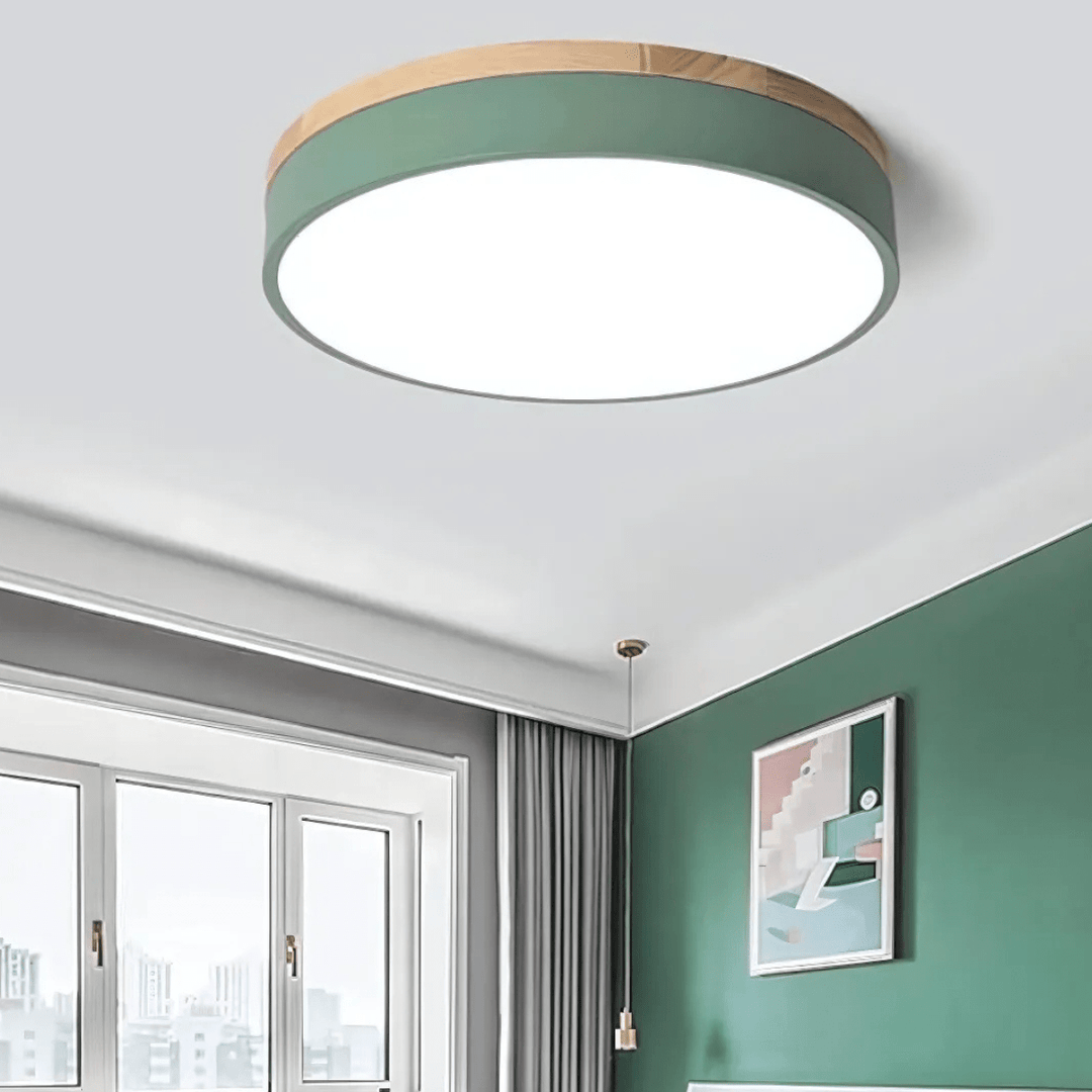 Plafonnier LED Design Naturel avec Accent Vert 2
