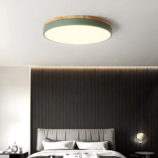 Plafonnier LED Design Naturel avec Accent Vert 3