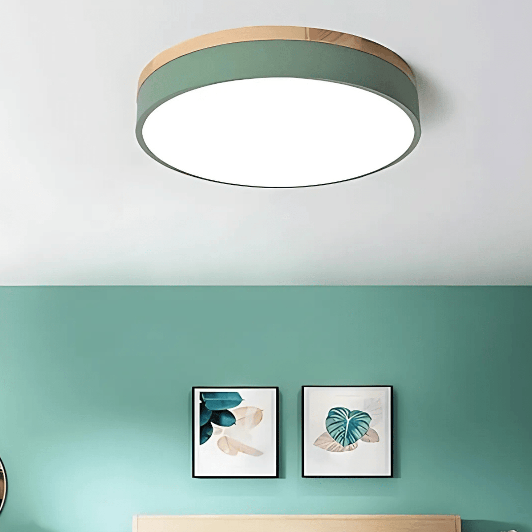 Plafonnier LED Design Naturel avec Accent Vert 4