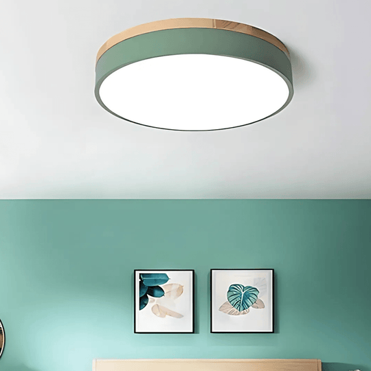 Plafonnier LED Design Naturel avec Accent Vert 4