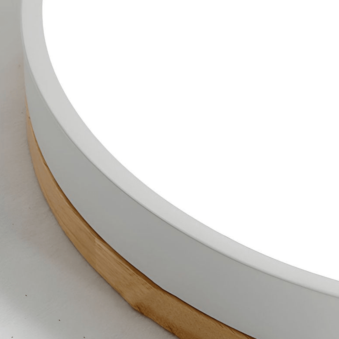 Plafonnier LED Design Naturel avec Accent Vert 5