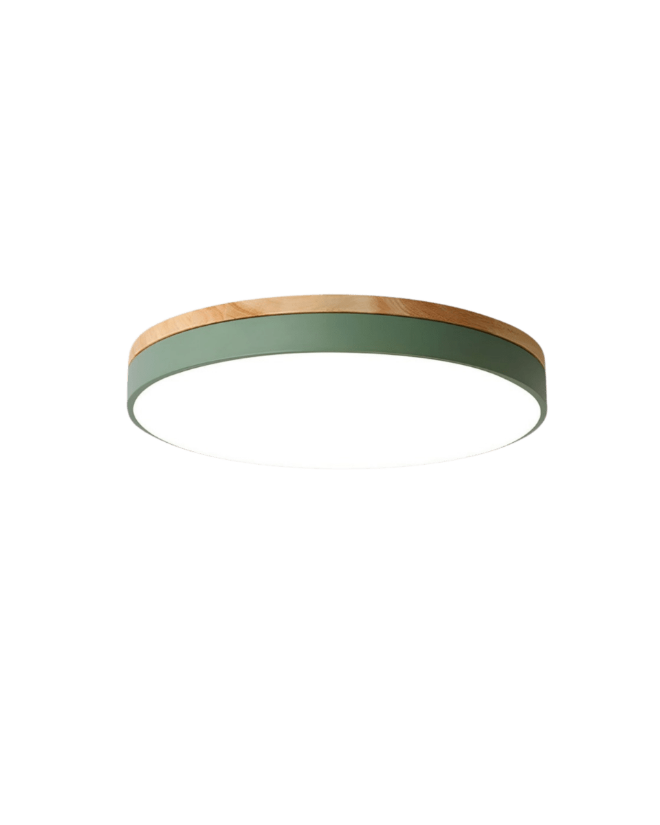 Plafonnier LED Design Naturel avec Accent Vert 8