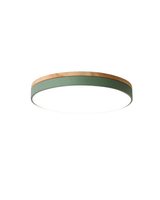 Plafonnier LED Design Naturel avec Accent Vert 8