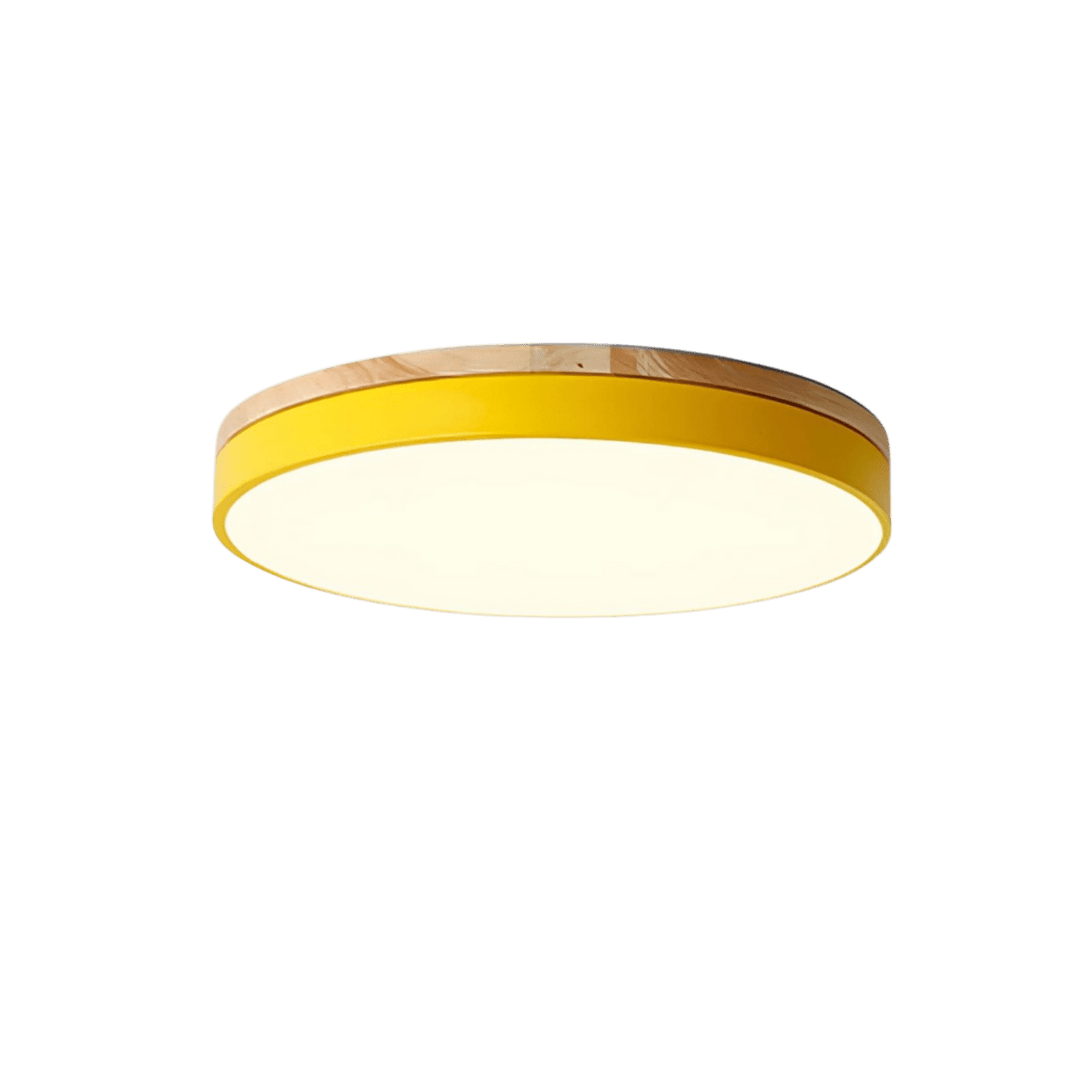 Plafonnier LED Design Naturel avec Accent Vert 9