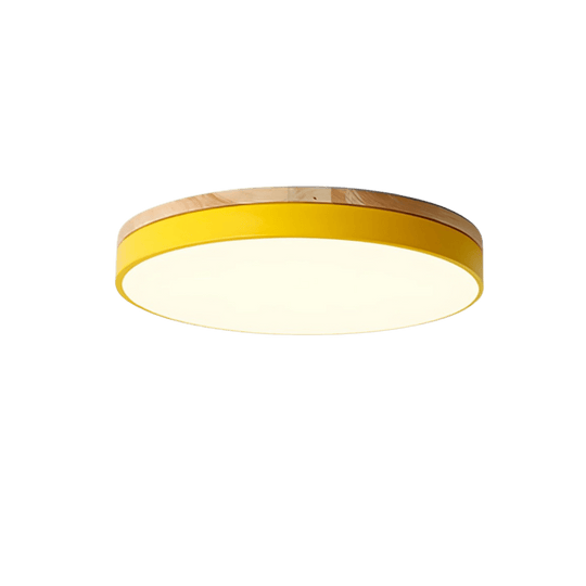 Plafonnier LED Design Naturel avec Accent Vert 9