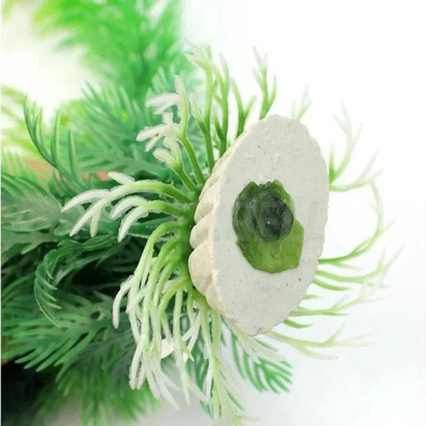 Plantes Aquatiques Décoratives pour Aquarium 1