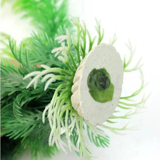 Plantes Aquatiques Décoratives pour Aquarium 1
