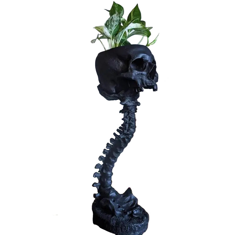 Planteur Gothique Crâne et Épine Dorsale 2