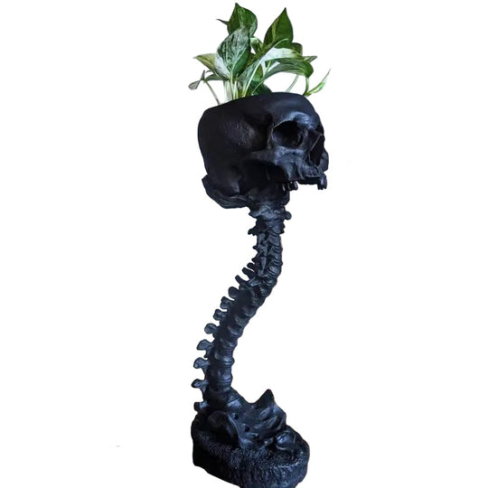 Planteur Gothique Crâne et Épine Dorsale 2