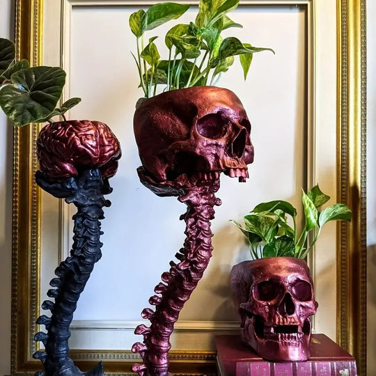Planteur Gothique Crâne et Épine Dorsale 4