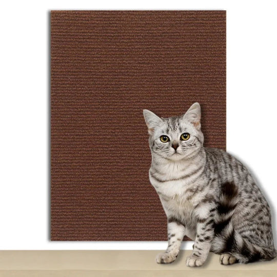 Plaque de Protection Autocollante pour Chats Transparente 10