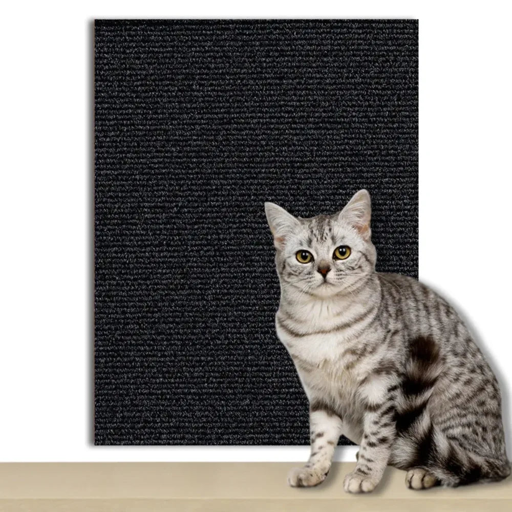 Plaque de Protection Autocollante pour Chats Transparente 11
