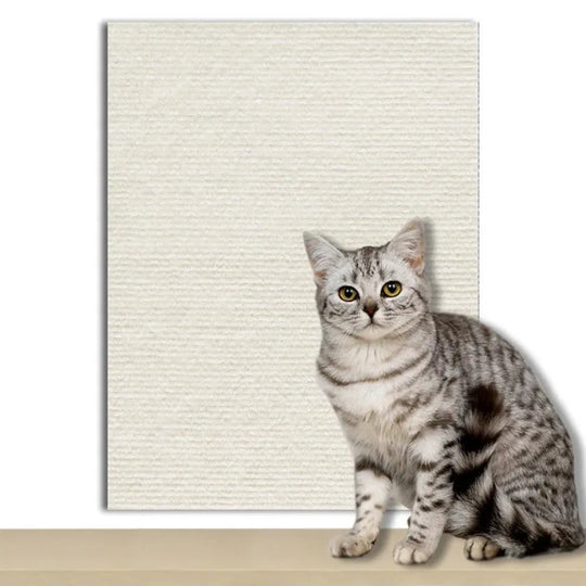 Plaque de Protection Autocollante pour Chats Transparente 12