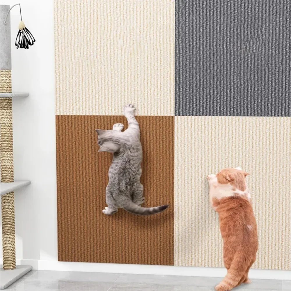 Plaque de Protection Autocollante pour Chats Transparente 2