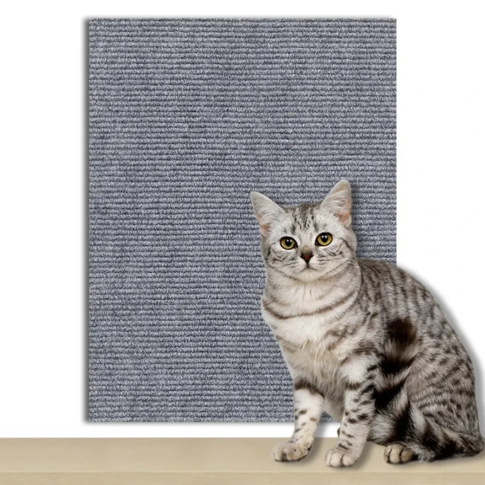 Plaque de Protection Autocollante pour Chats Transparente 7
