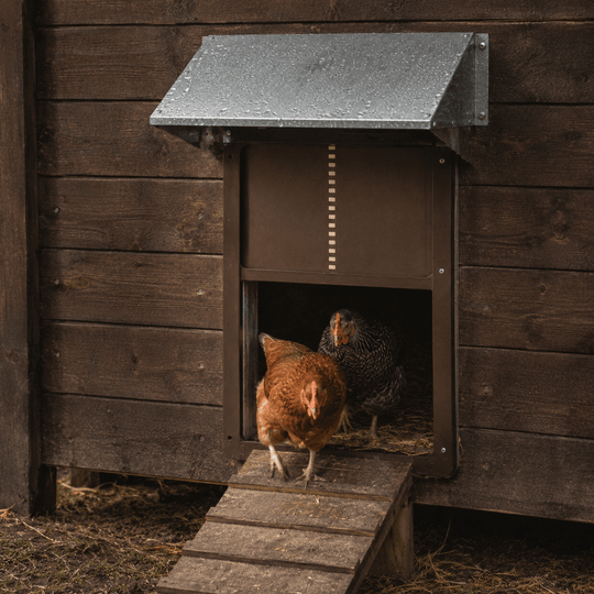 Porte Automatique de Poulailler avec Capteur de Lumière 5