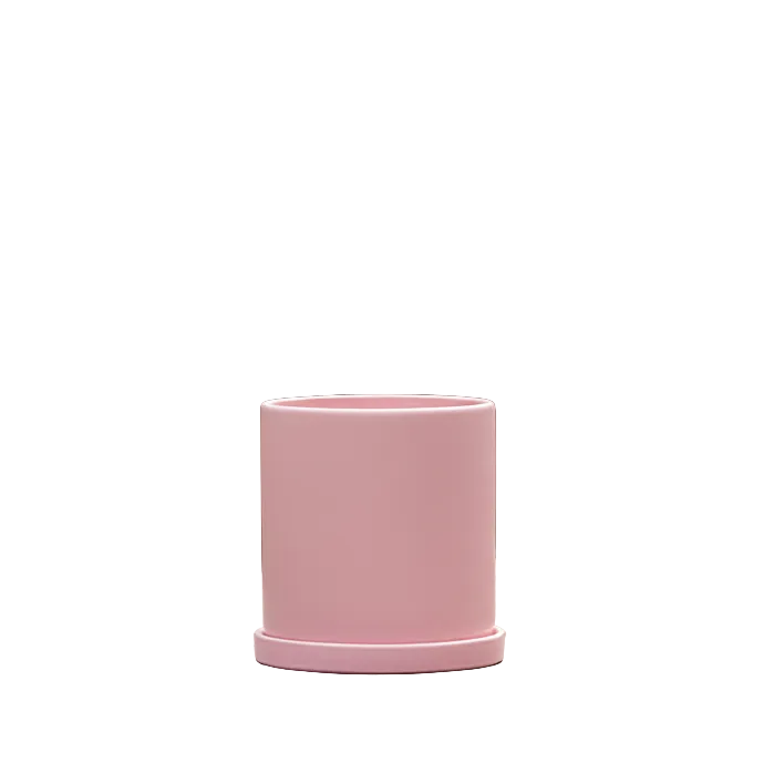 Pot de Fleurs Élégant avec Soucoupe pour Intérieur 0