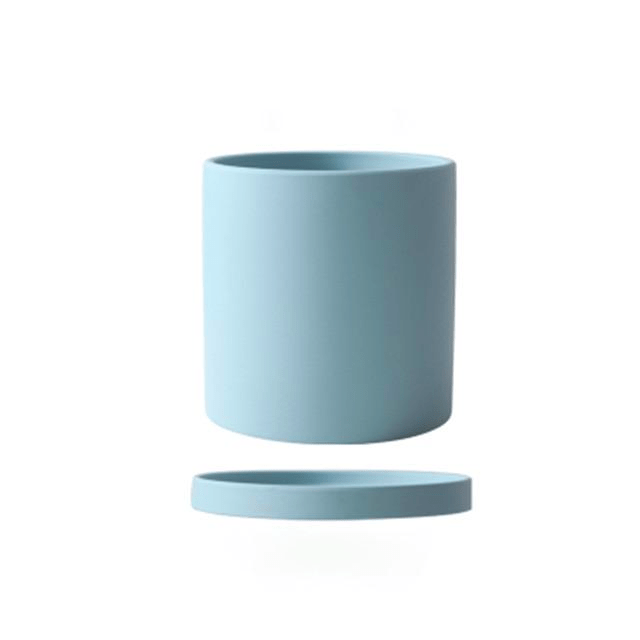 Pot de Fleurs Élégant avec Soucoupe pour Intérieur 12