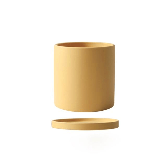 Pot de Fleurs Élégant avec Soucoupe pour Intérieur 14