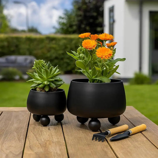 Pot de Fleurs Moderne pour Intérieur et Extérieur 2