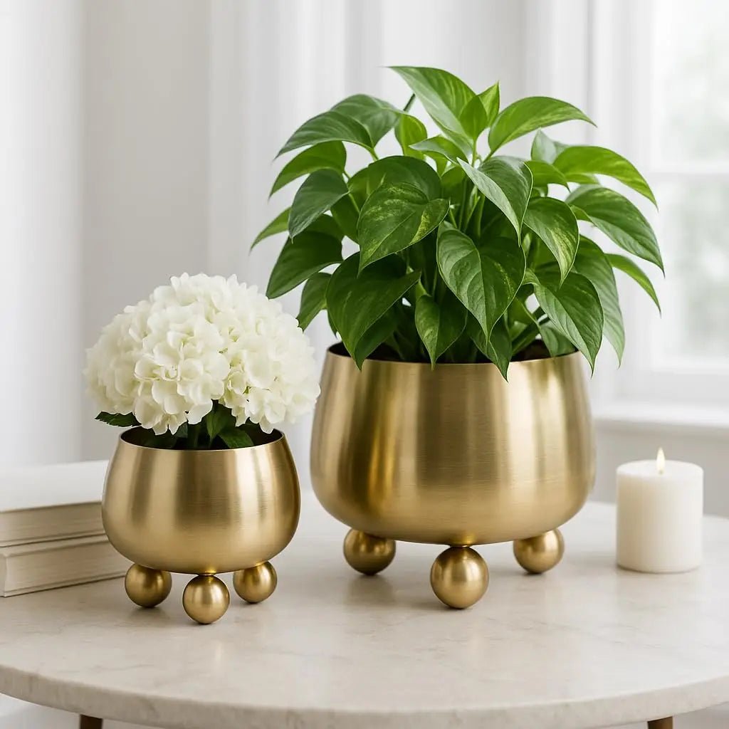 Pot de Fleurs Moderne pour Intérieur et Extérieur 3