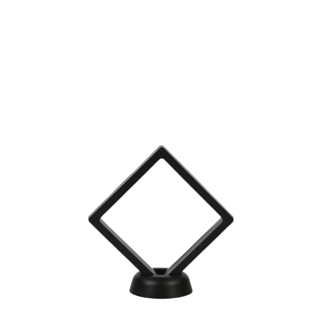 Présentoir pour Objets de Collection Transparent Moderne 1