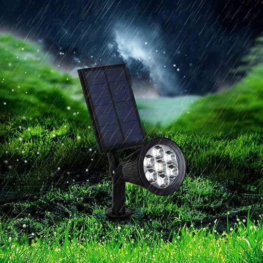 Projecteur de Jardin Solaire Multicolore 5