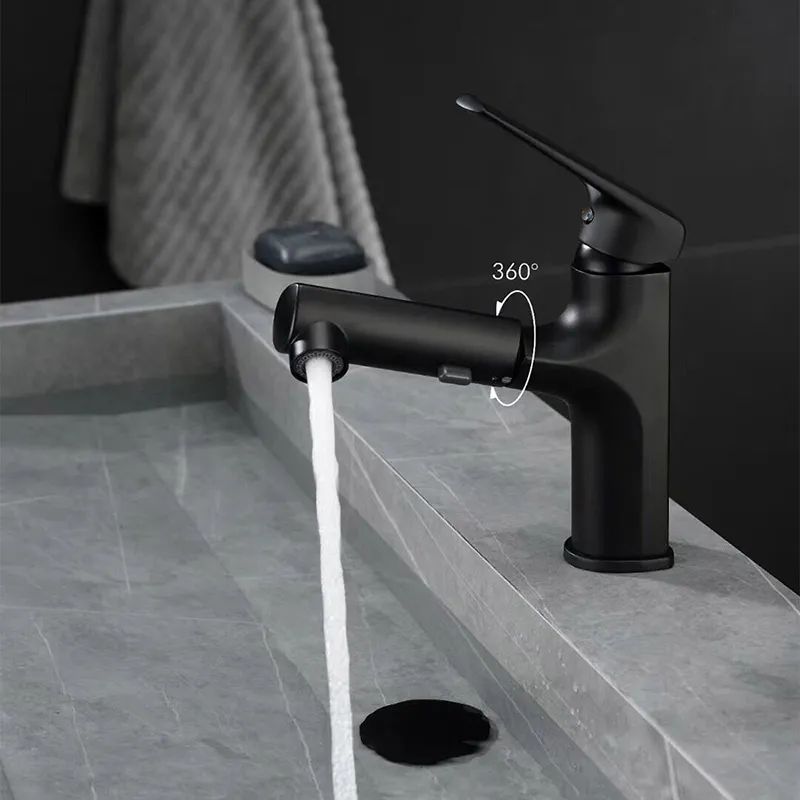 Robinet de Baignoire Extractible à Levier Unique 2
