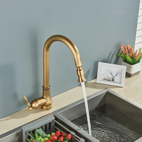 Robinet de Cuisine Vintage avec Bec Pivotant 3